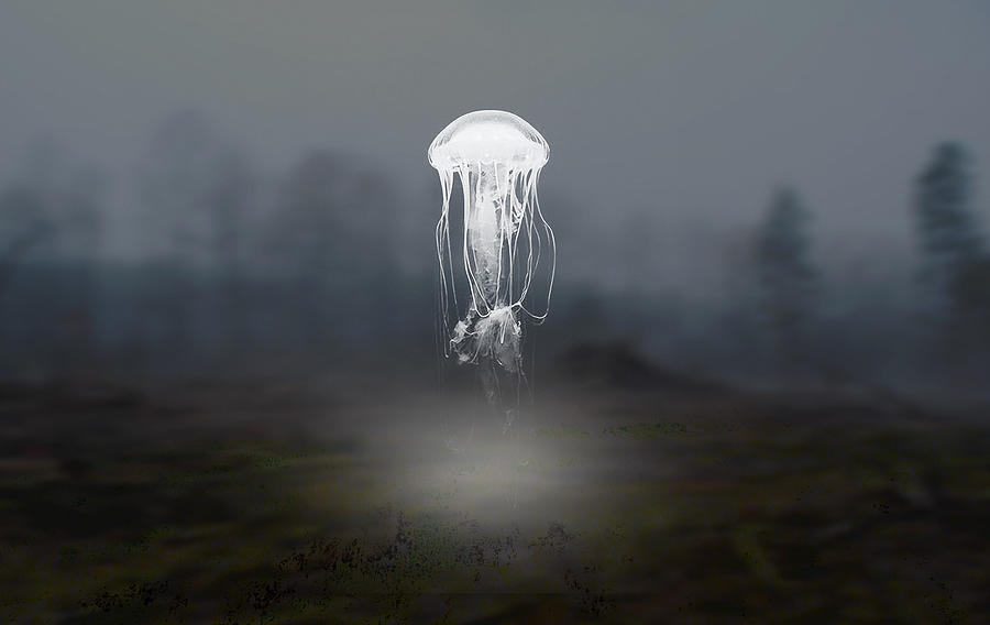 Jellyfish Dream Mixed Media by Marvin Blaine