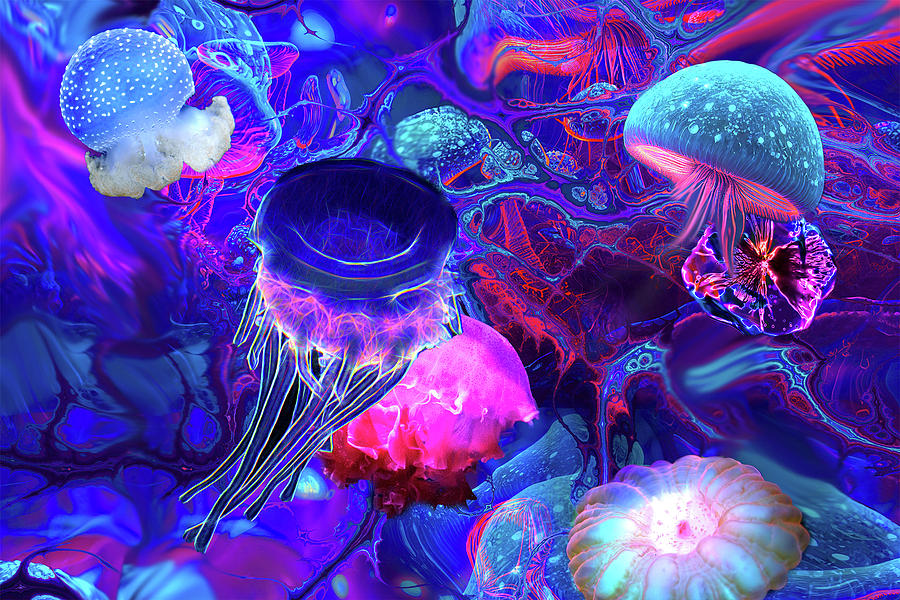 Jellyfish Digital Art by Lisa Yount