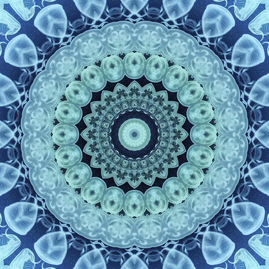 Jellyfish Mandala Kaleidoscope Medallion Flower Mixed Media by Mercury McCutcheon