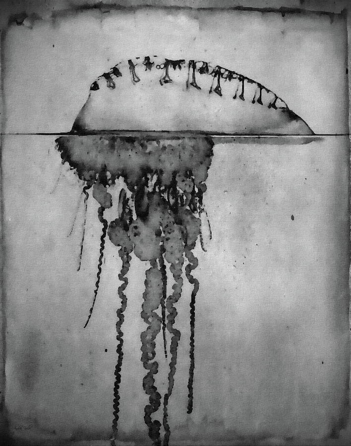 Jellyfish Our Oceans  Photograph by Andrea Kollo