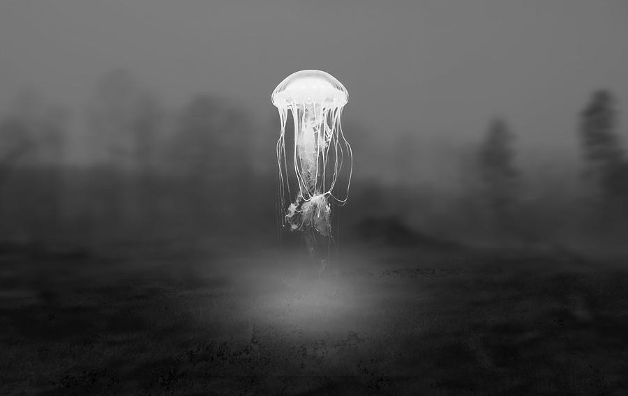 Jellyfish Wonder Mixed Media by Marvin Blaine