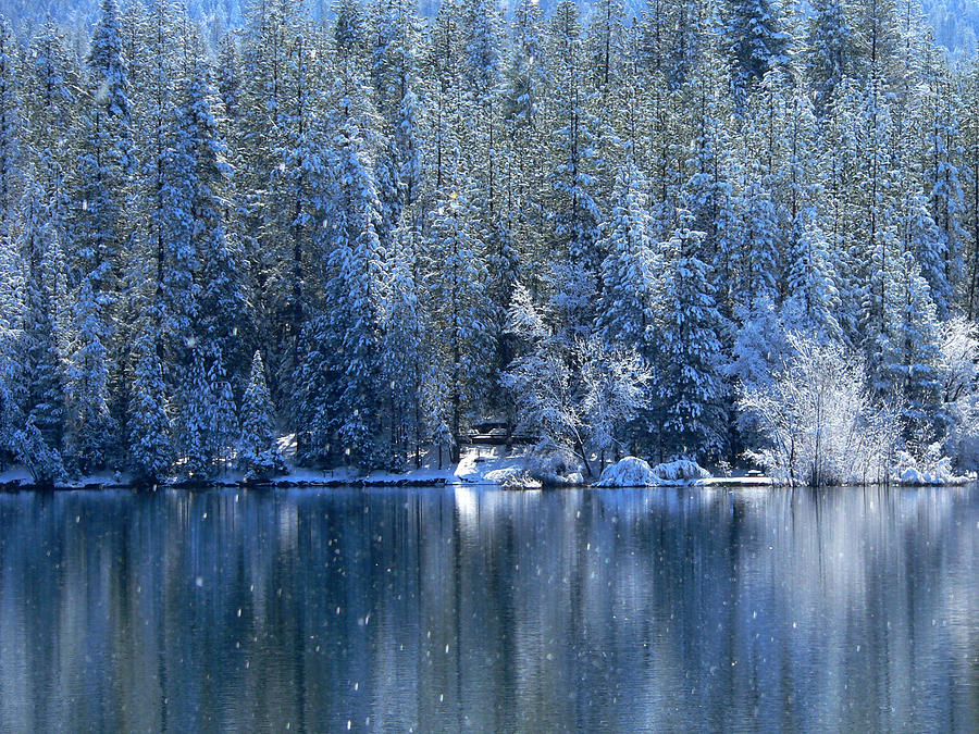 Jenkinson Lake in Snow Photograph by Beverly Read