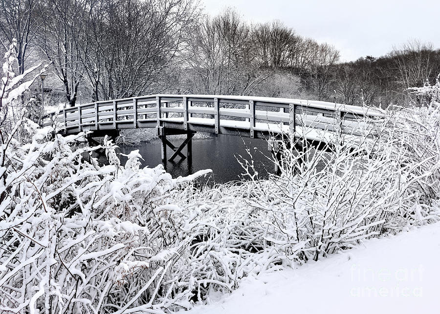 Jenney Pond footbridge in winter Photograph by Janice Drew