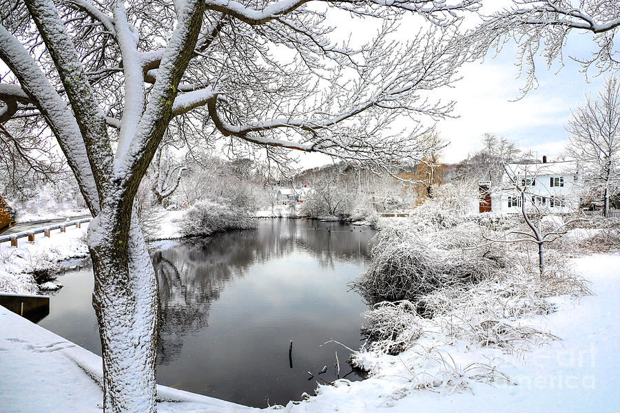 Winter Photograph - Jenney Pond winter wonderland  by Janice Drew