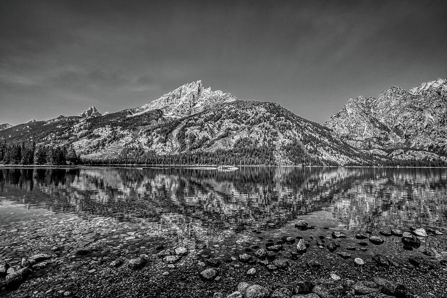 Jenny Lake 3 Black and White Photograph by Judy Vincent