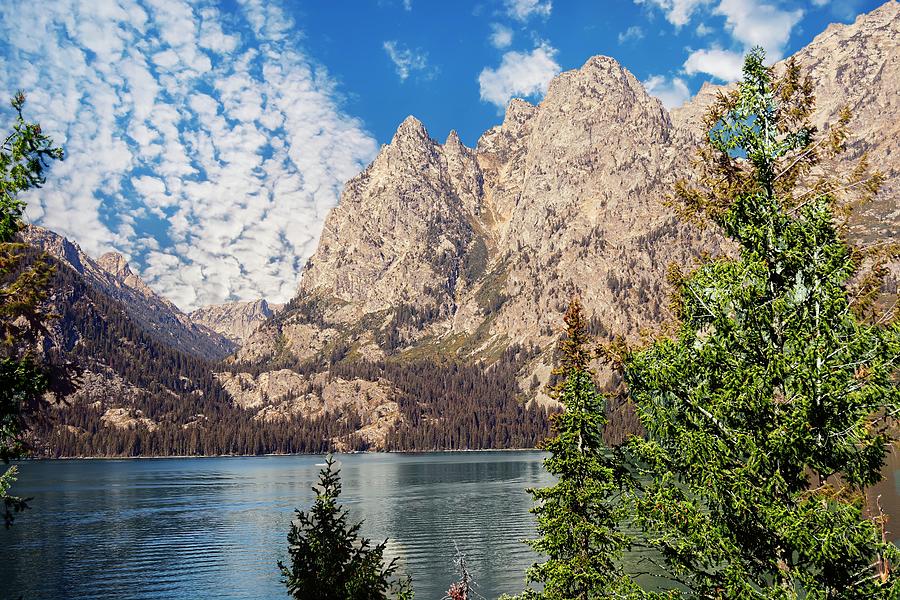 Mountain Photograph - Jenny Lake 4 by Marty Koch