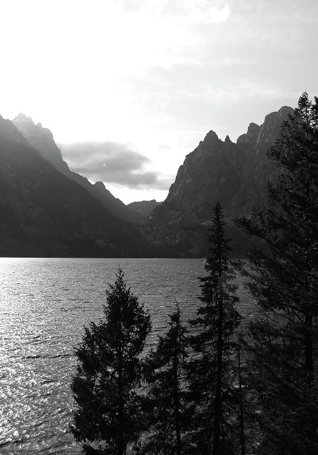 Jenny Lake Black And White Photograph by Dan Sproul