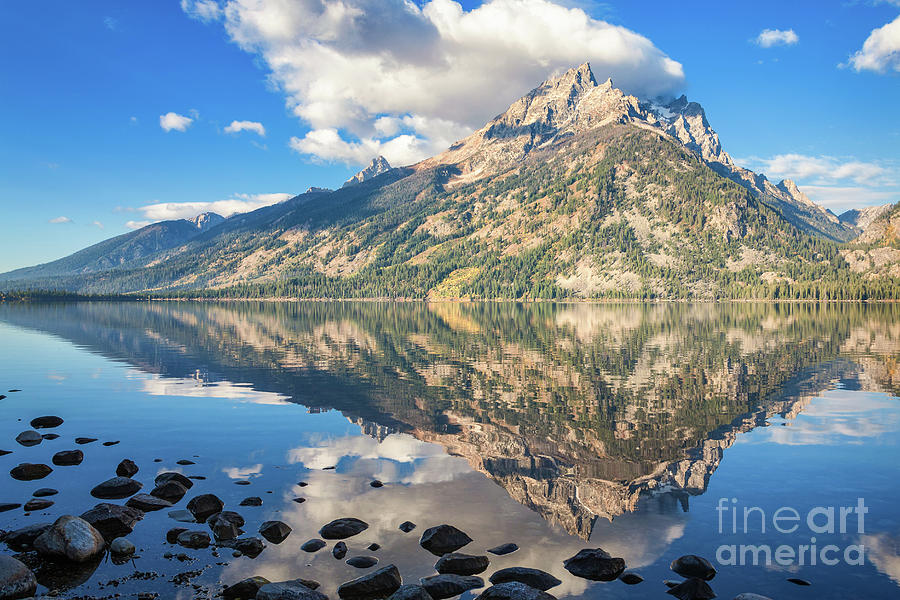 Jenny Lake Overlook 201 Photograph by Maria Struss Photography