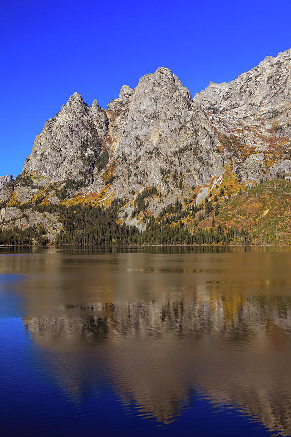 Jenny Lake Reflections Autumn Morning Photograph by Dan Sproul