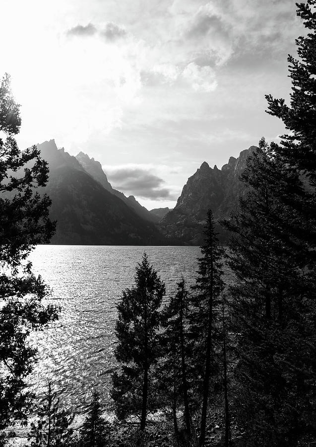 Jenny Lake Wyoming Black And White Photograph by Dan Sproul