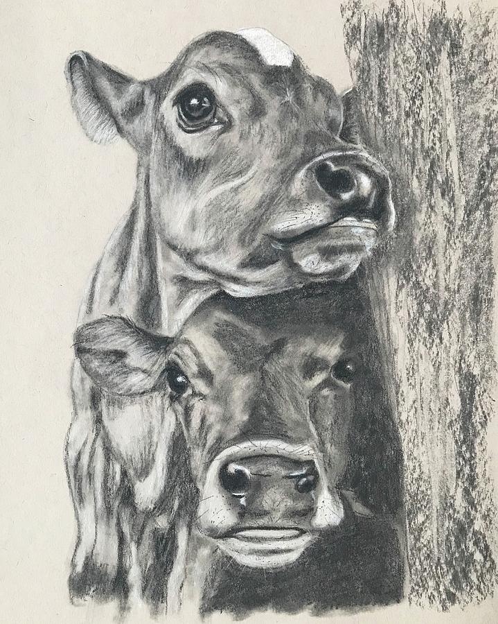 Jersey Girls Drawing by Darlene Pyle - Fine Art America