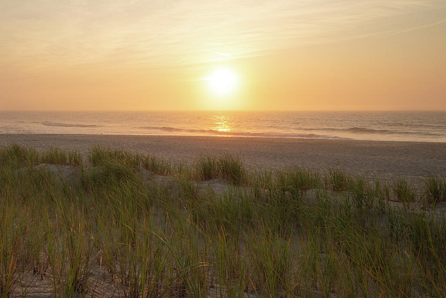 Jersey Shore Beach Dunes and Grass Photograph by Matthew DeGrushe Jersey Shore Beach Dunes and Grass Photograph by Matthew DeGrushe