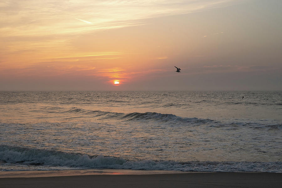 Jersey Shore Beach Morning Photograph