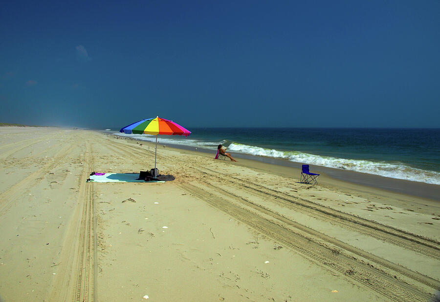 Jersey  Photograph by Peter Sylvester