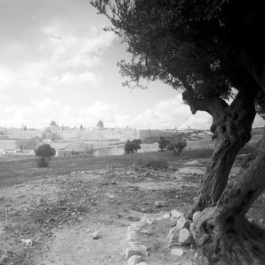 Jerusalem in 1934 Photograph by Munir Alawi Jerusalem in 1934 Photograph by Munir Alawi