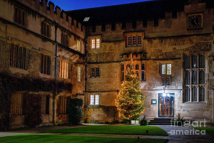 Jesus College Christmas Tree Oxford Photograph by Tim Gainey