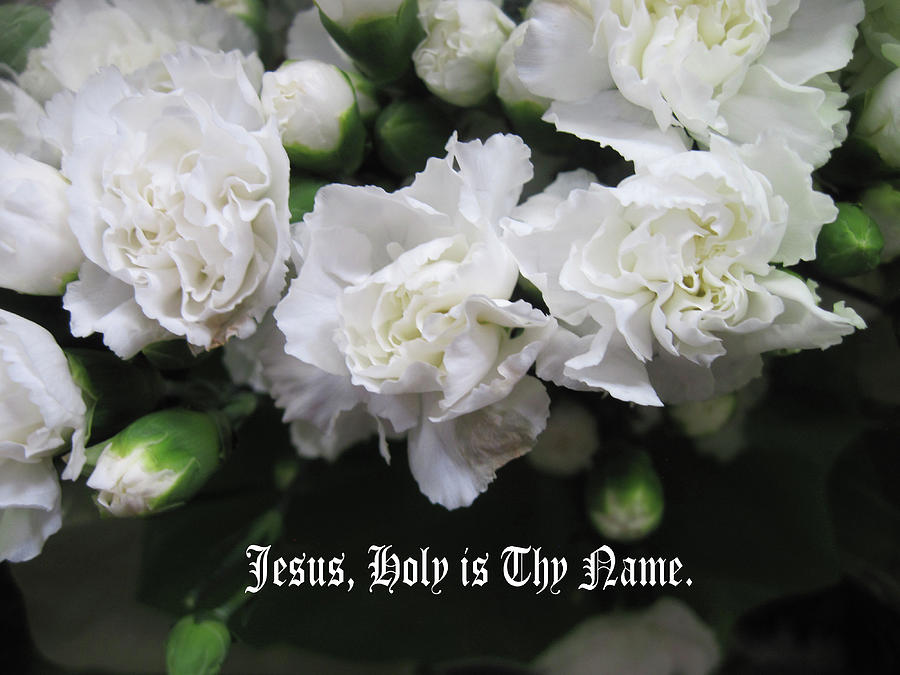 Jesus Holy is Thy Name Photograph by Siobhan Nada - Fine Art America