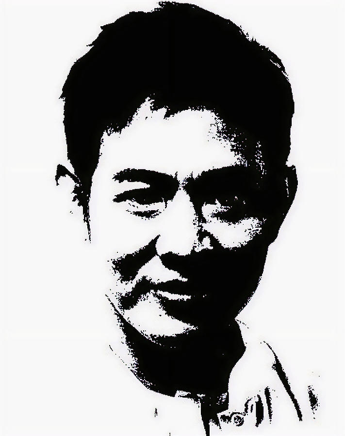 Jet Li Vector Digital Art by Bob Smerecki - Fine Art America