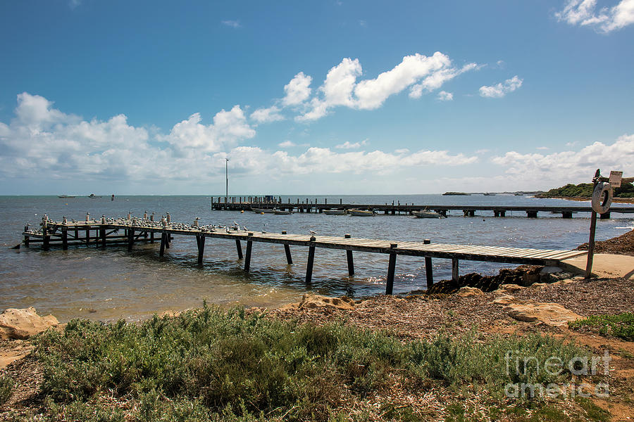 Jetties at Jurien Bay, Western Australia Photograph by Elaine Teague