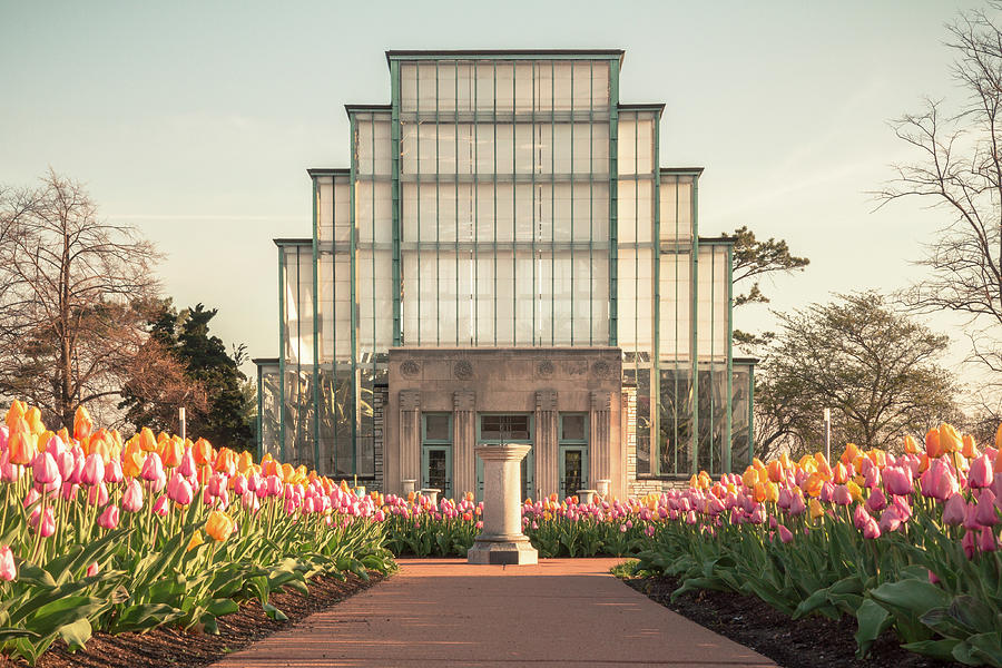 Jewel Box in Forest Park Photograph by Scott Rackers