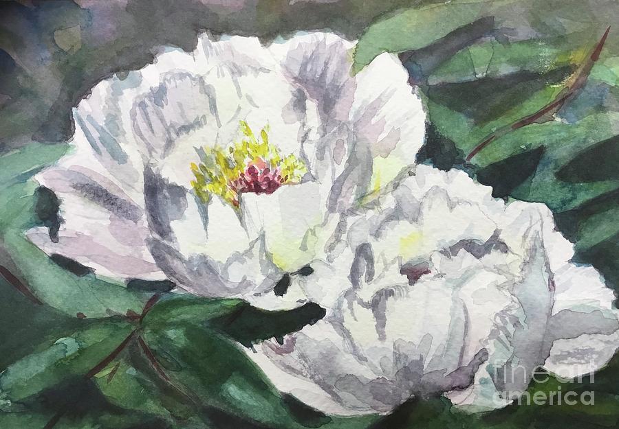Jewel of a Peony Painting by Sonia Mocnik