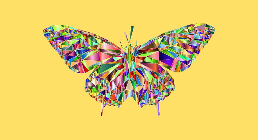 Jeweled Butterfly Photograph by Nancy Ayanna Wyatt