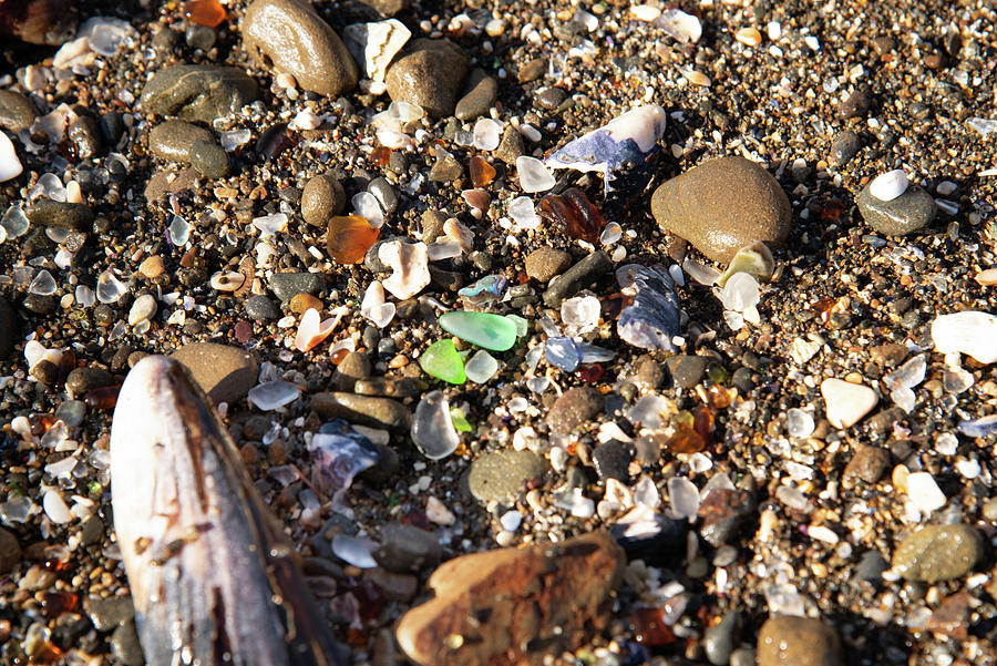 Jewels In The Sand Photograph by Caroline Yeo - Fine Art America