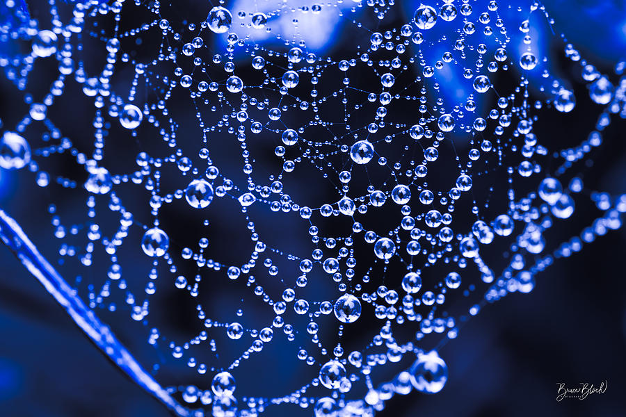 Jewels in the Spiderweb in Blue Photograph by Bruce Block