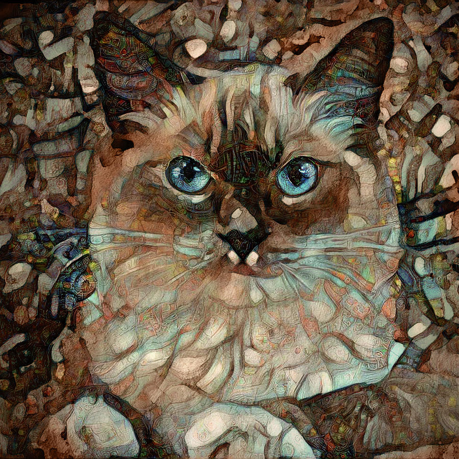 Jiffy the Ragdoll Cat Digital Art by Peggy Collins