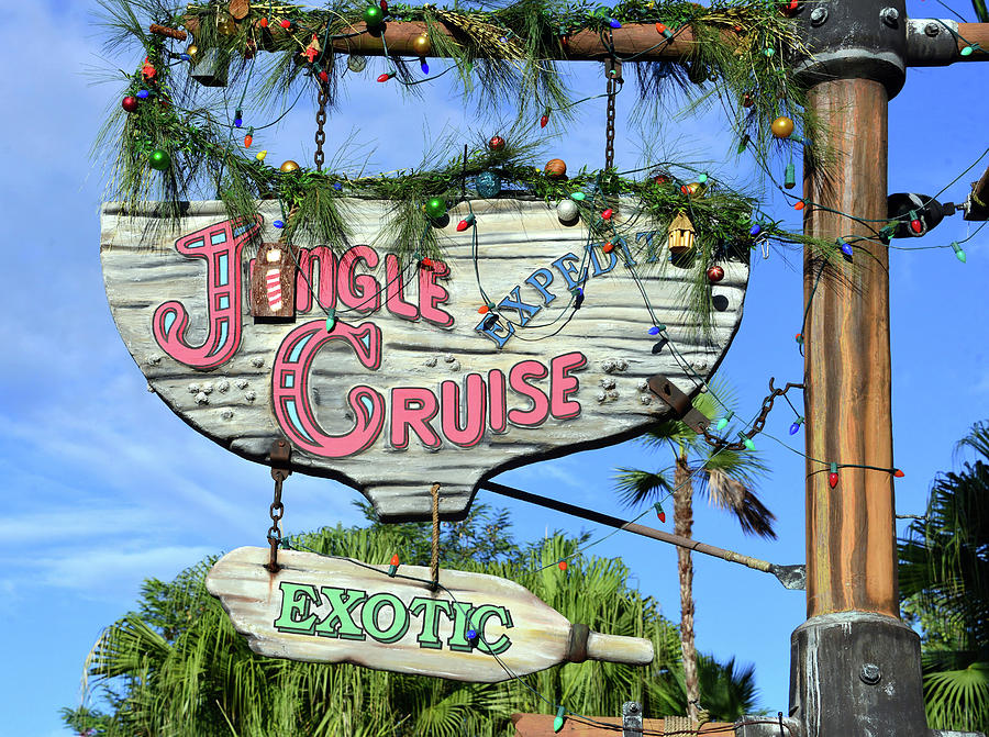 Jingle Cruise Magic Kingdom Photograph by David Lee Thompson