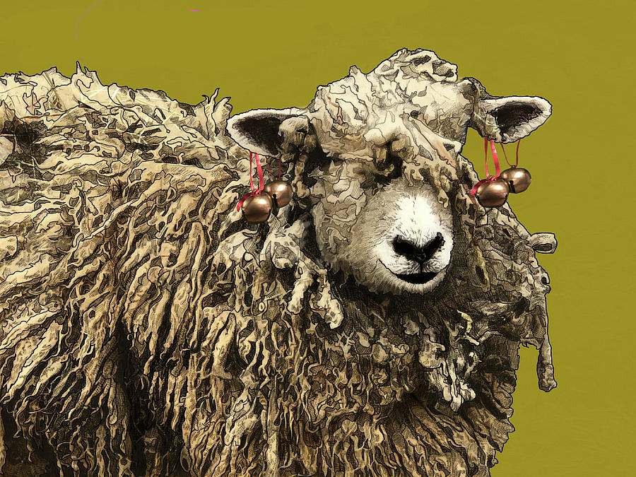 Jingle Sheep Digital Art by Jamie Downs