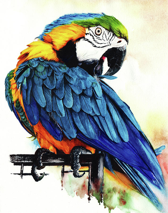 Jinx Parrot Portrait Painting