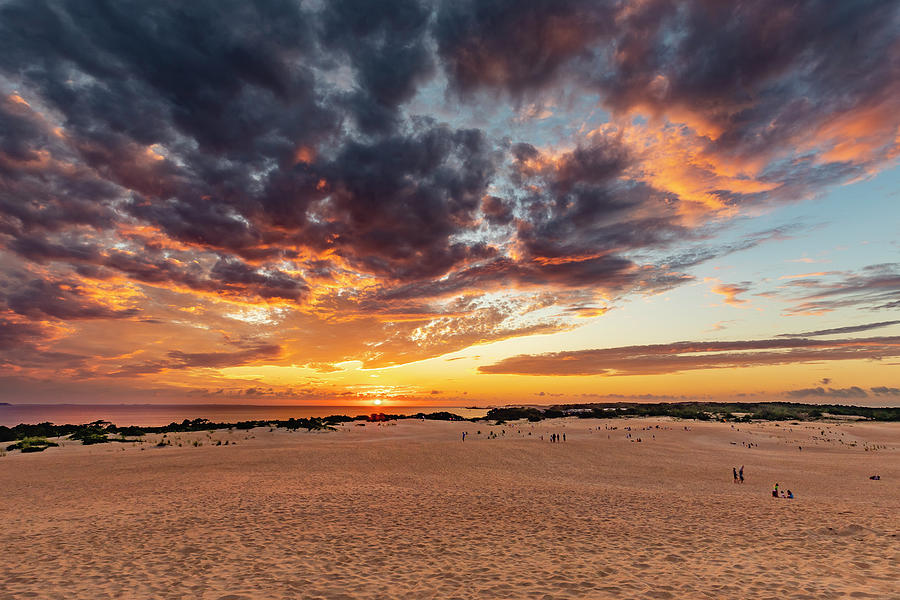 Jockeys Ridge Gold 1 Photograph by David Fountain