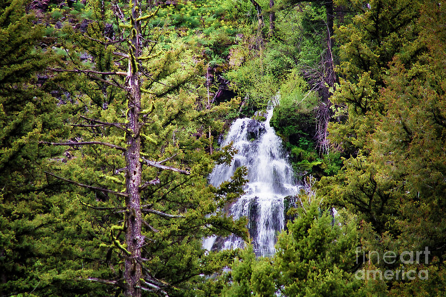 Jocko Lakes Waterfall 1 Photograph by Janie Johnson