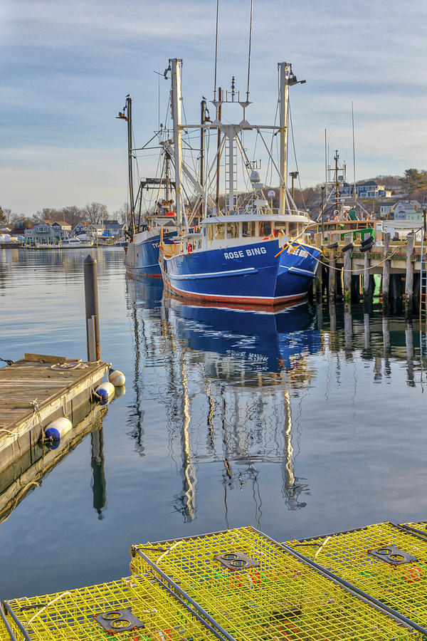 Jodrey State Fish Pier in Gloucester Harbor Rose Bing Photograph by Juergen Roth
