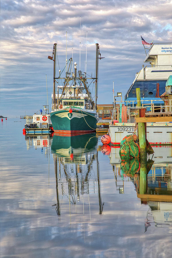 Joecka at Jodrey State Fish Pier Photograph by Juergen Roth