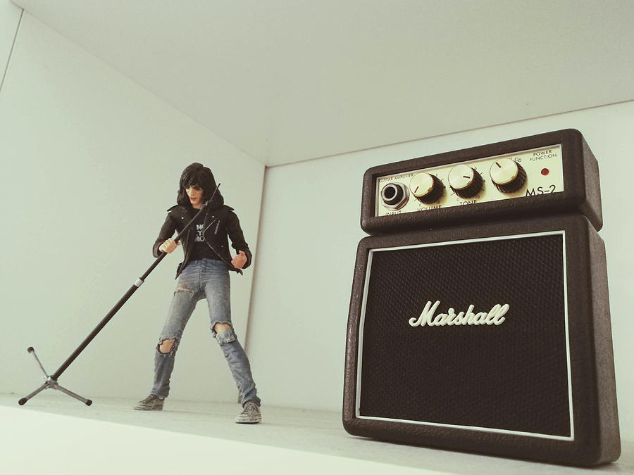 Joey Ramone Marshall Photograph by Roberto Aronica Fine Art America