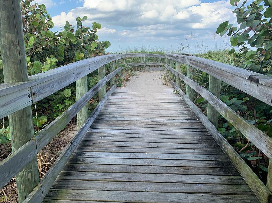 John Brooks Park Photograph by Cyndi Lenz