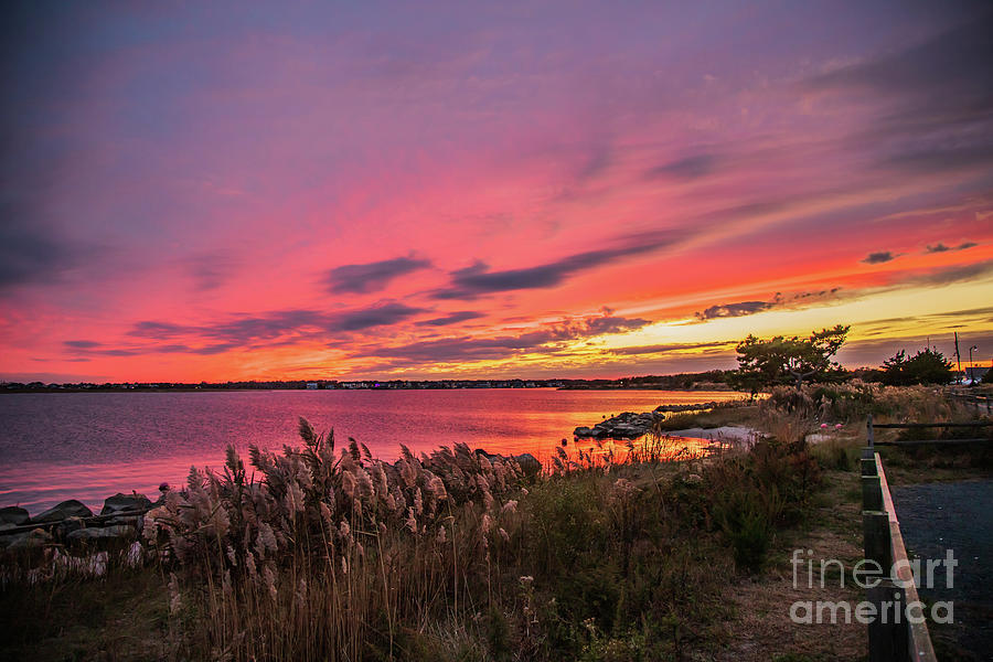 John C. Bartlett, Jr. County Park at Berkeley Island Sunset 2