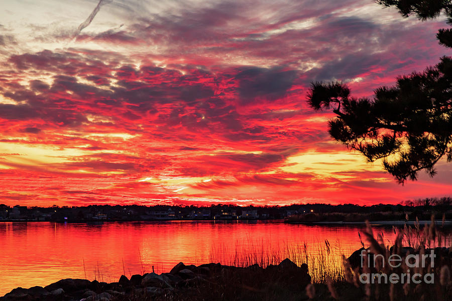 John C. Bartlett, Jr. County Park at Berkeley Island Sunset#4 ...