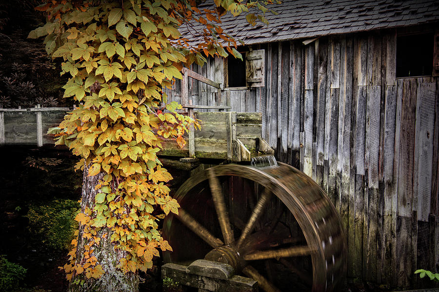 John Cable Grist Mill Sluice and Waterwheel in Cades Cove Photograph by Randall Nyhof