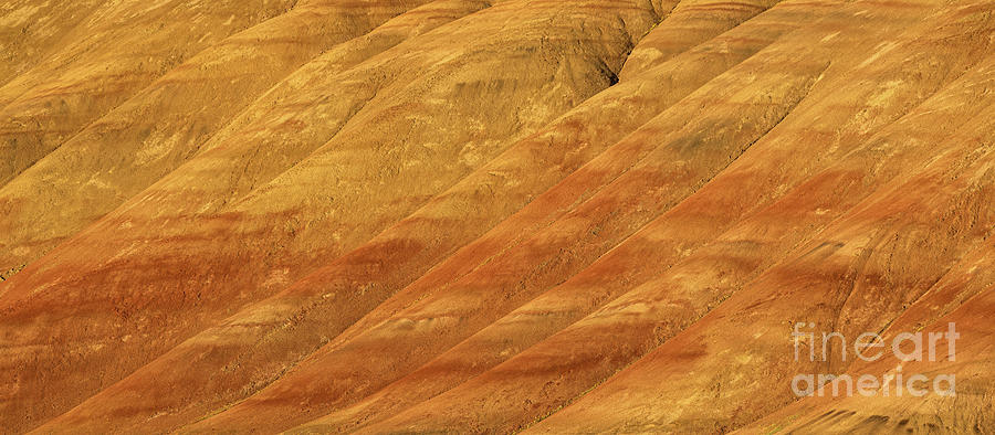 John Day Fossil Beds National Monument, Oregon Photograph by Henk Meijer Photography