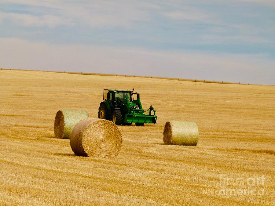 John Deere Harvest Time Photograph by Jor Cop Images