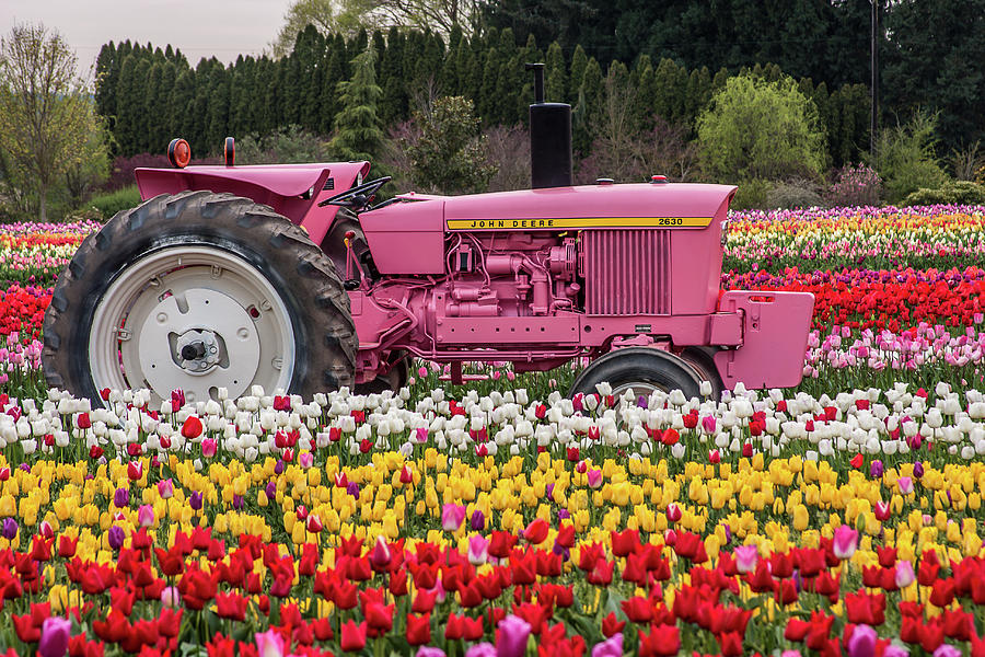 John Deere Pink Photograph By Craig Pifer Fine Art America 3980