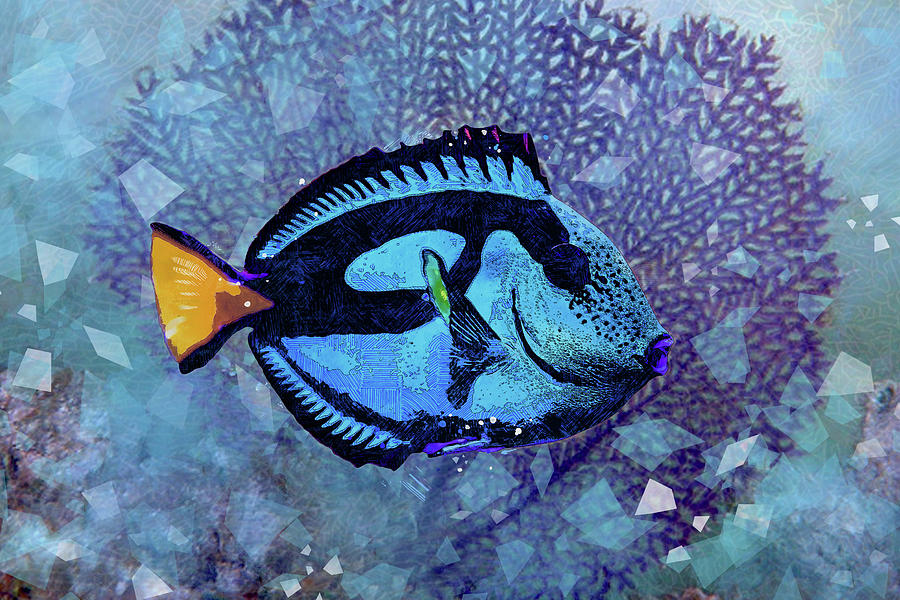 John Dory Fish with Fan Coral Mixed Media by Pamela Williams