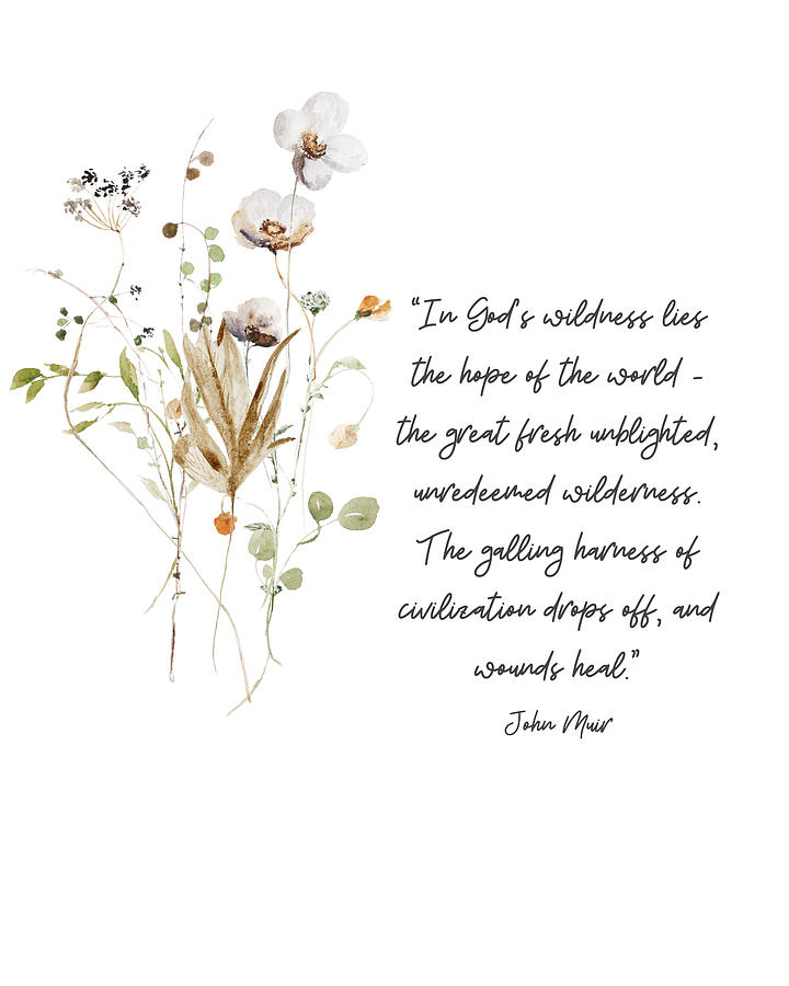 John Muir - In Gods Wildness Quote with Pressed Flowers Photograph by John Muir