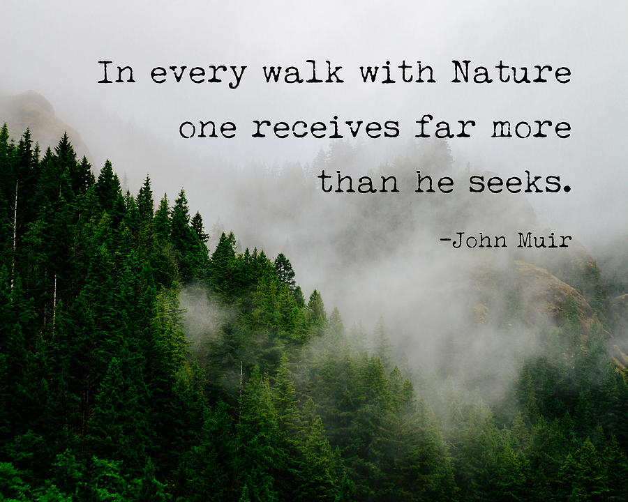 John Muir Quote - In every walk with Nature one receives far more than ...