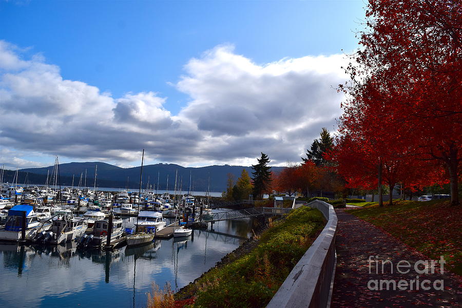 John Wayne Marina Sequim Washington Photograph by Sherry Little Fawn Schuessler