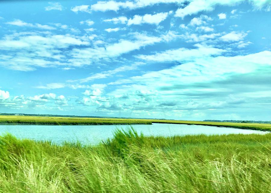 Johns Island Marsh Photograph by M West