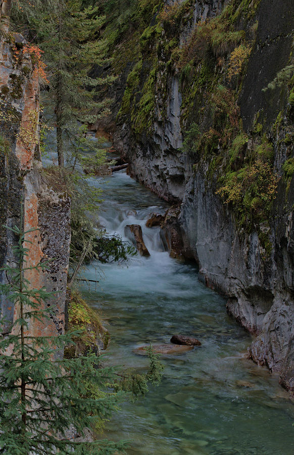 Johnston Canyon - Banff Photograph by Stephen Vecchiotti